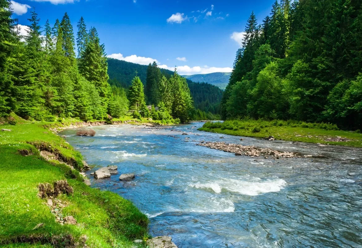 Cần Thơ có chợ hoa xuân ở chợ nổi Cái Răng, miễn phí mặt bằng, điện, nước